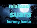 Download Lagu Suara burung hantu \u0026 jangkrik dimalam hari untuk relaksasi \u0026 pengantar tidur