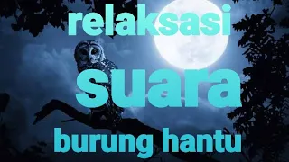 Download Suara burung hantu \u0026 jangkrik dimalam hari untuk relaksasi \u0026 pengantar tidur MP3