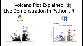 Volcano Plot Explained Live Demonstration in Python R