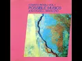 Jon Hassel - Fourth World VOL 1 & VOL 2 (2 Full Albums)