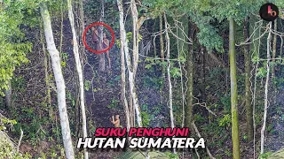 Download Suku Anak Dalam, Orang Rimba Penghuni Hutan Belantara Sumatera MP3
