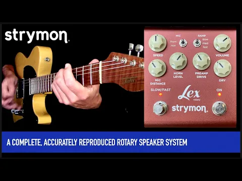 Strymon Lex V2 Rotary | Delicious Audio