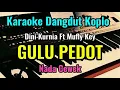 Download Lagu GULU PEDOT [ Dini Kurnia ft Mufly Key ] Karaoke Dangdut Koplo || Nada Cewek