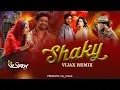 Lagu SHAKY DJ VIJAX REMIX_110