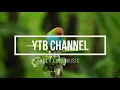Download Lagu MUSIK RELAKSASI SUARA KICAUAN BURUNG DAN MUSIK MERDU UNTUK MEMANJAKAN FIKIRAN DAN MEDITASI