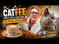 We toured a unique coffee shop called Catffe Coffee and have a look inside Vietnam s Coffee Culture