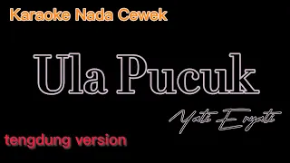 Download Ula Pucuk Yati Eryati Karaoke nada Cewek MP3