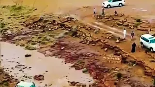 شيلة قولوله انا غير وسلومنا غير 