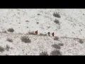 Search crews looking for missing hiker in the Boise foothills