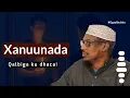 Xanuunada Qalbiga Kudhaca || Sh Mustafe