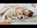 Proin ER Morning Blend