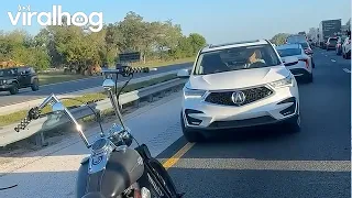 State Trooper Stops Driver Going Wrong Way Down Shoulder In Locked Traffic || ViralHog
