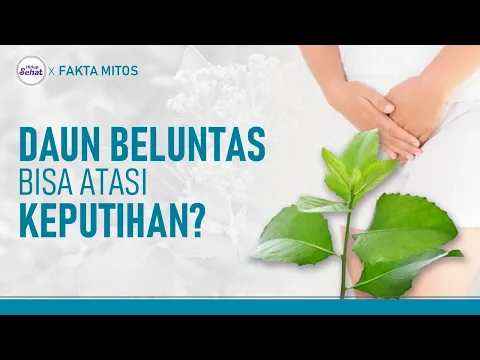 5 Manfaat Daun Beluntas, Benarkah Bisa Mengatasi Keputihan?