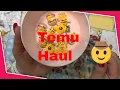 These 2 Temu Orders Will Blow Your Mind Links and Picture samples inside
