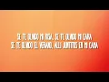 Dalvin La Melodia - Amnesia (Letra/Lyrics)