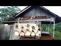 Gubuk Derita - Heidy Diana dan Hamdan ATT (HQ)