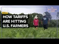 Download Lagu The True Cost Of Trump's Tariffs: American Farmers Speak Out