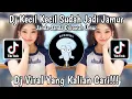 Lagu DJ KECIL KECIL SUDAH JAMUR JANDA JANDA DIBAWAH UMUR VIRAL TIKTOK TERBARU 2023 YANG KALIAN CARI