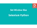Selenium Python Set Window Size