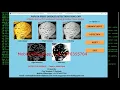Papaya Fruit Disease Detection Using CNN With Source Code Papaya Fruit Disease Classification