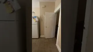 Unit 1 - 3403 Carlisle Ave Baltimore MD Property Walk Through