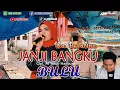 Download Lagu JANJI BANGKU BULU || IKA ROSALINA, Cpt. M. Yakub Hasibuan