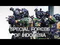 Lagu Pasukan Khusus Indonesia - 2025 - Special Forces of Indonesia
