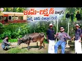 Lagu Fight Masters Ram Lakshman Farm House Tour | Teugu Vlogs | SumanTV Roshan