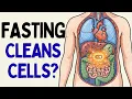 What Happens If You Fast Until Autophagy Cleans Every Damaged Cell Science Explained