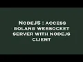 NodeJS access golang websocket server with nodejs client