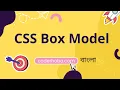 CSS Box model tutorial In Bangla CoderHobo