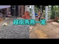 Download Lagu (376)越南燕燕一家
