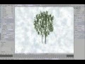 Download Lagu Creating a tree with multiple trunks in Space Tree Pro