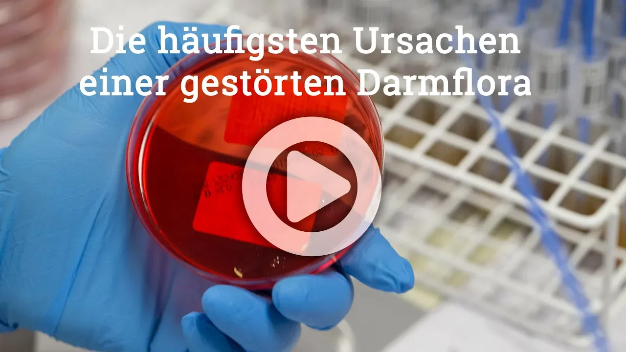 Die häufigsten Ursachen einer gestörten Darmflora - Dysbiose