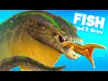 Download Lagu *NEW* NOTHOSAURUS In Feed \u0026 Grow Fish!