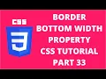 Border Bottom Width CSS CSS Tutorial Part 33