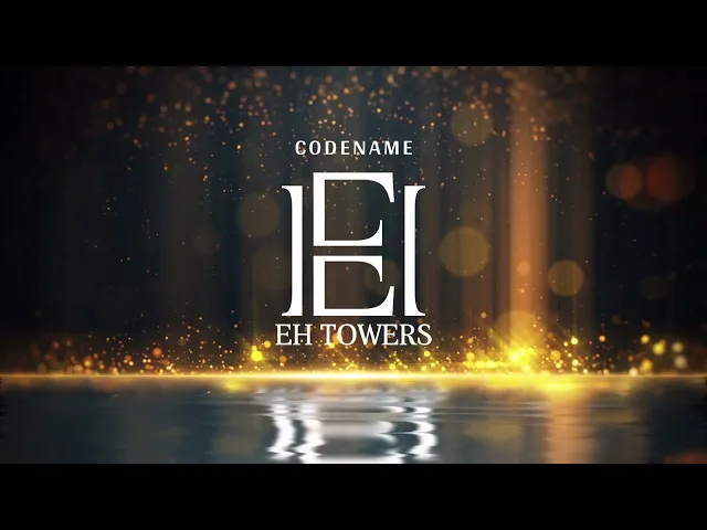 Project Video