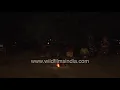 'Dama Dum Mast Qalander' sung by Rajasthani folk musicians