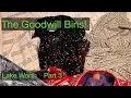 Goodwill Outlet Bins Thrift Haul - Lake Worth 3