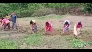 jini raji bisi majangdu song lyrics singing by binod vedio editing by mr lomit da 