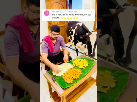 Gaumata Ji Sabka Bhala Kare❤️🙏🏻 #gaumata #radhakrishna #jagannath