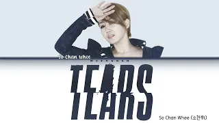 So Chan Whee - Tears Han Rom Eng Color Coded