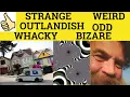 Strange Odd Weird Bizarre Outlandish Wacky - Strange Odd Weird Bizarre Outlandish Wacky Examples