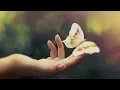 Sorrow - Lubilu (Stumbleine Remix)
