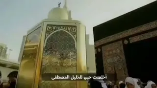 ومحمد رفع الجهالة بالهدى   علاء ناجي انشودة اخلصت حبي   بدون موسيقى  دندنها