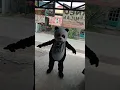 Download Lagu Badut panda lucu