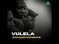 Vulela Amandwendwe