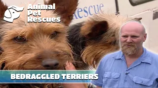 SPCA Rescues Neglected Puppies from Horrific Pet Shop Conditions Full Episode Animal House