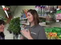 A Sneak Peek at a Newly Refreshed Garden Center