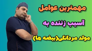 عوامل اسیب زننده به بیضه علت ها علائم و راه های پیشگیری  عوامل اسیب زننده به بیضه علت ها علائم و راه های پیشگیری